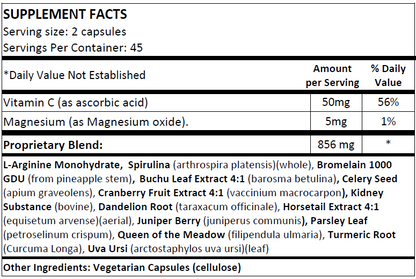 NS - Kidney Support