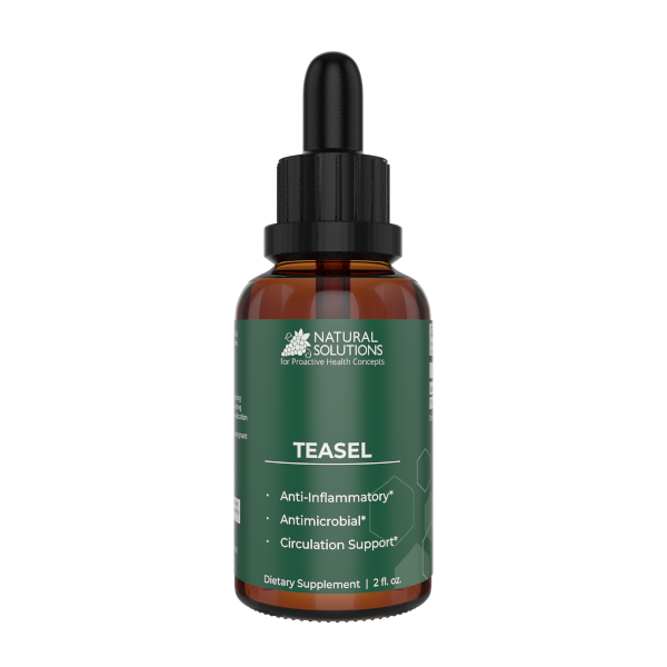 NS - Teasel Root