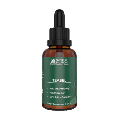 NS - Teasel Root