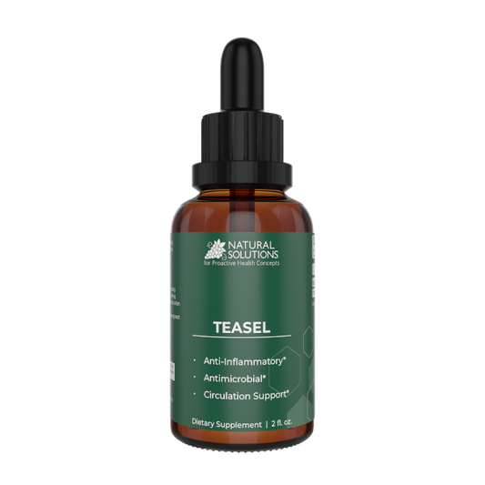 NS - Teasel Root