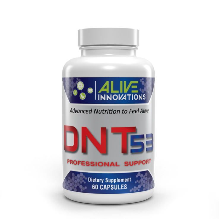 AI - DNT 53