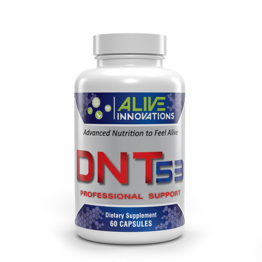 AI - DNT 53