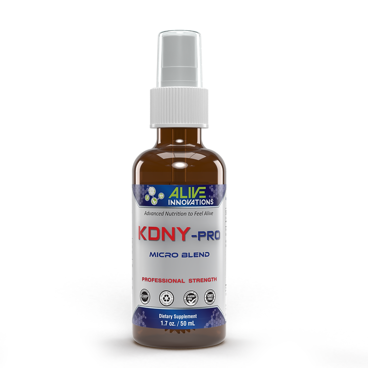 AI - KDNY Pro