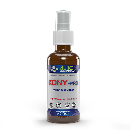 AI - KDNY Pro