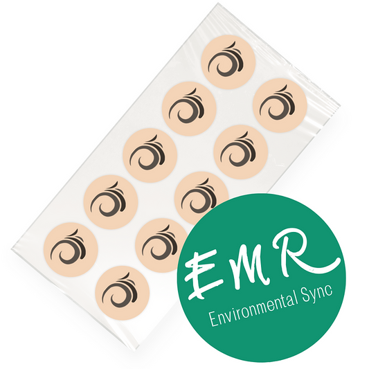 FA - EMR Environmental Sync