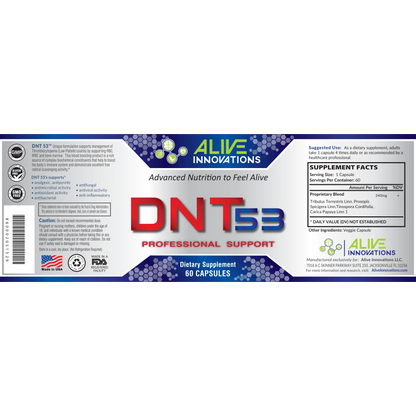 AI - DNT 53