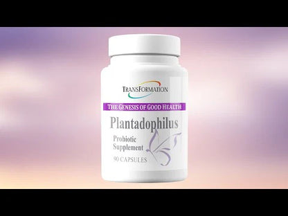 TE - Plantadophilus